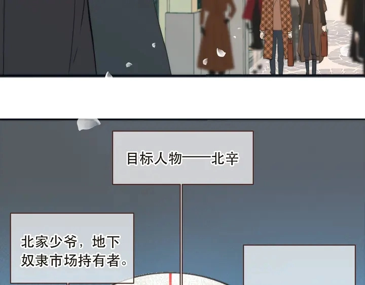 第1话 初次较量247