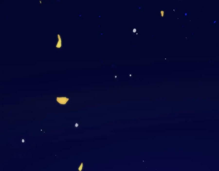 第109话 今夜留下71