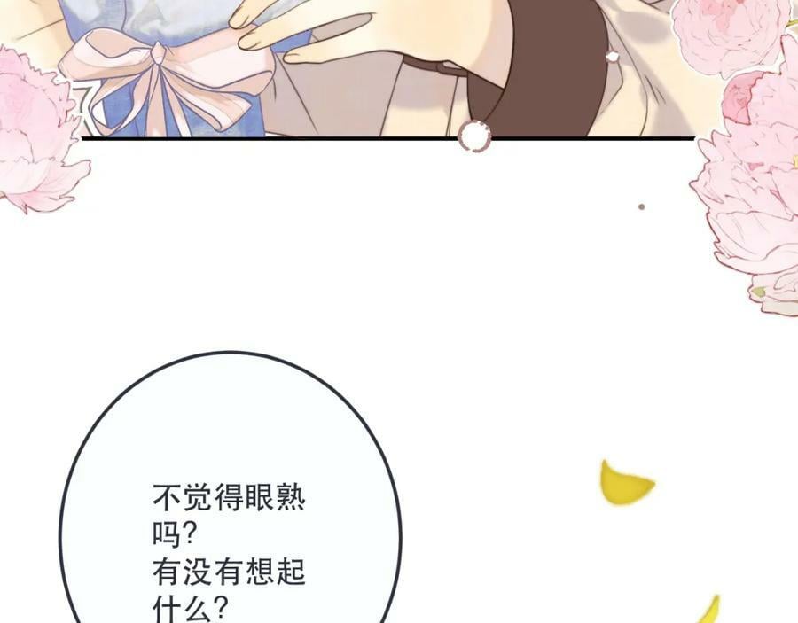 第117话 远走高飞67