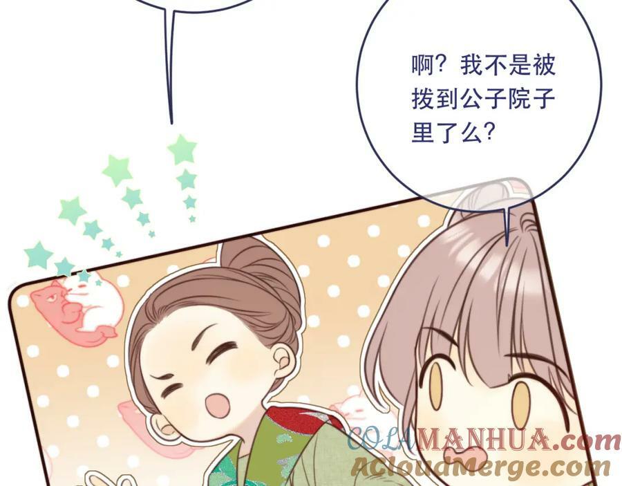 番外 少爷的丫鬟81