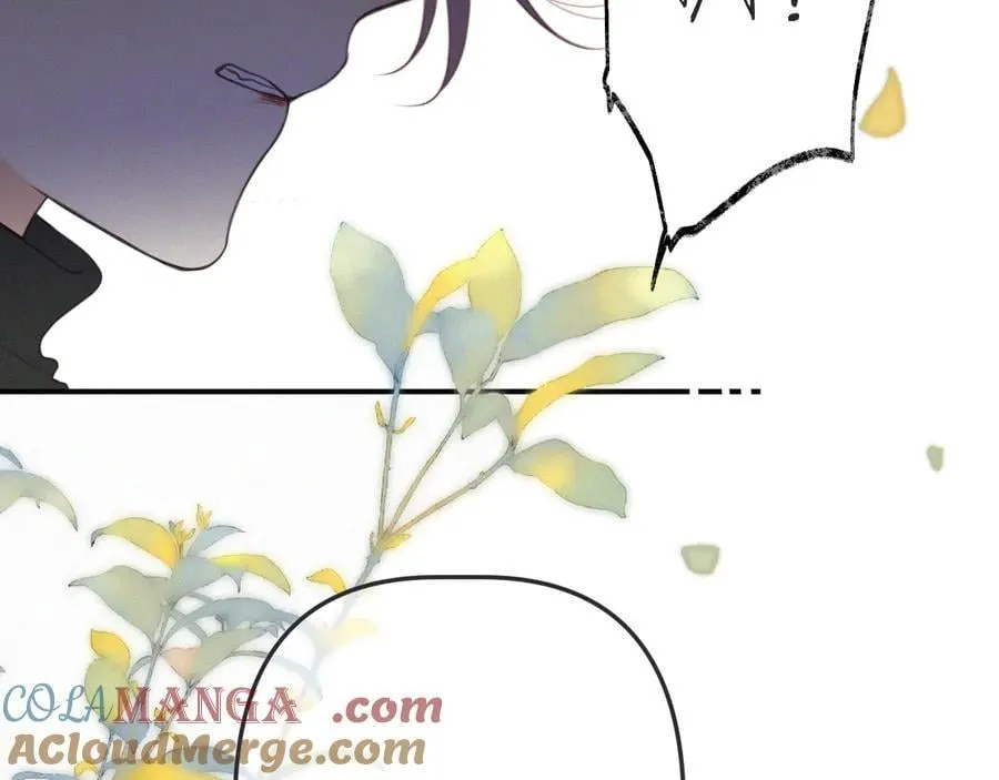 隐藏后续2 一点点欣喜60