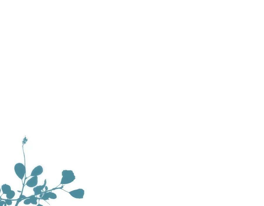 第120话 宿敌62