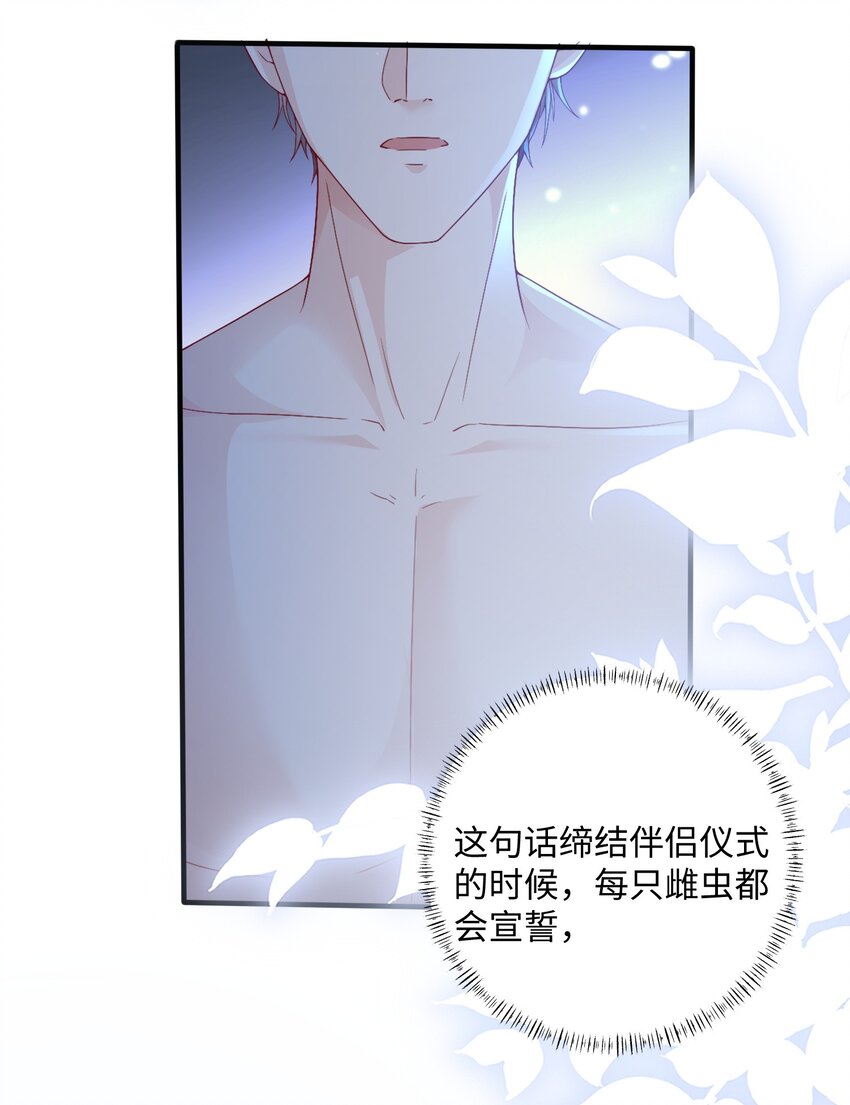 039 虫翼25