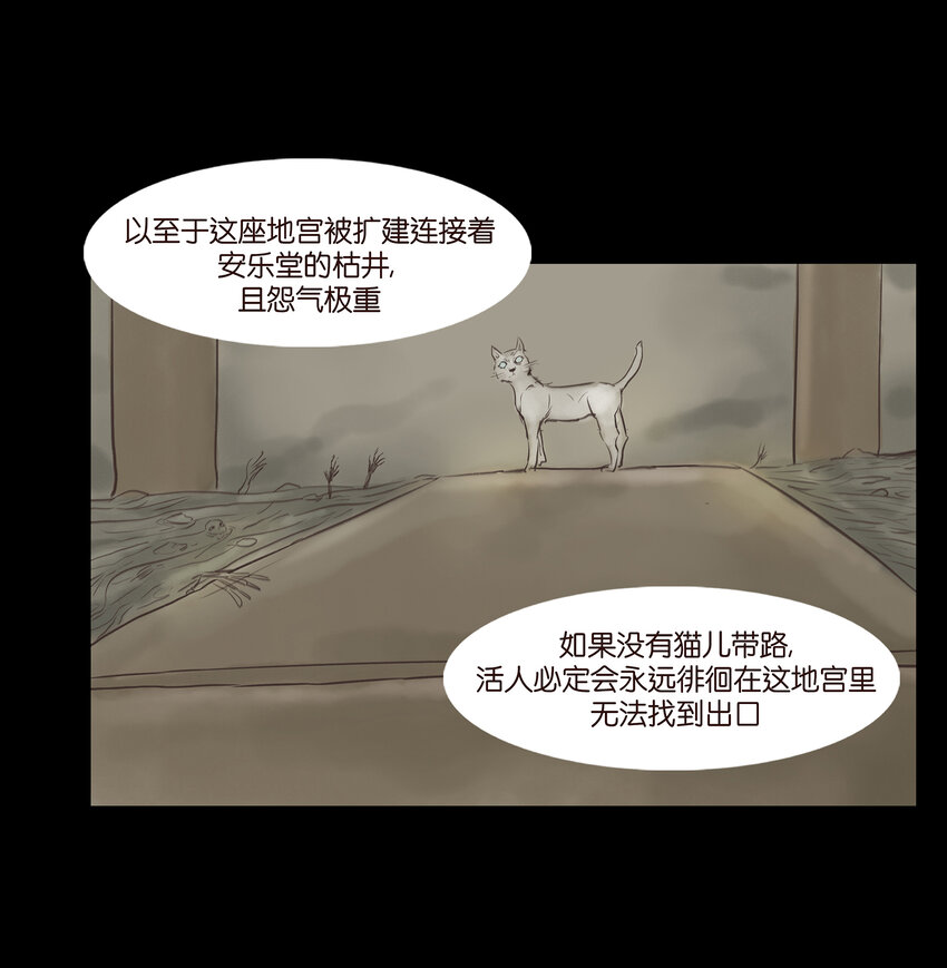 005 狸猫39