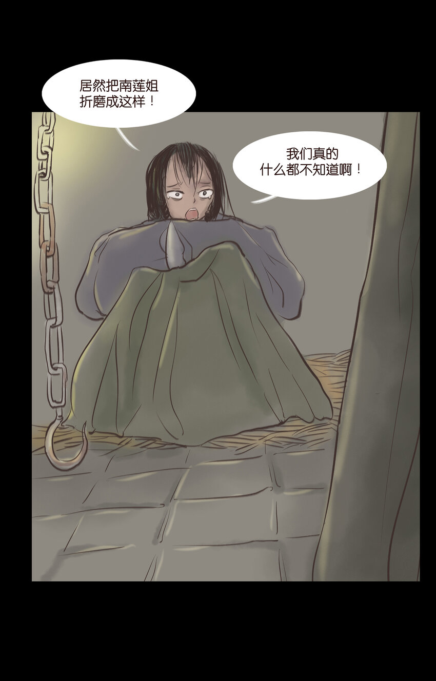 005 狸猫15