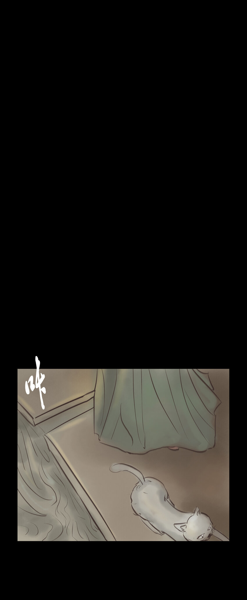 005 狸猫32