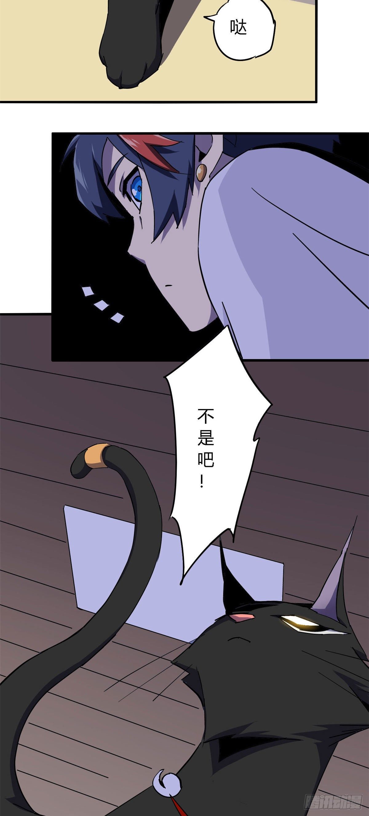 11 爱猫人士表示谴责15