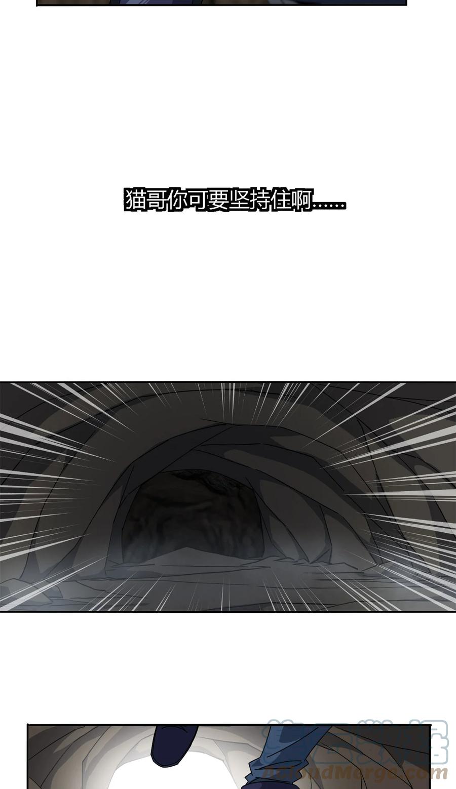 66 猫哥说话了！22