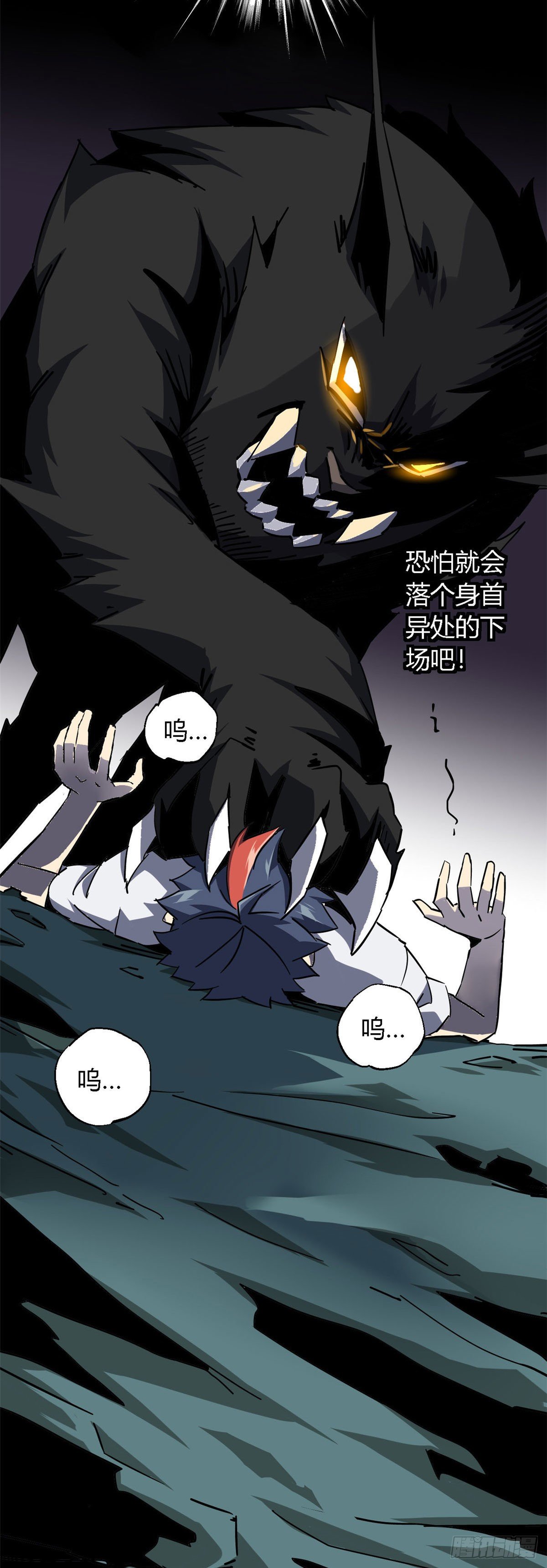 11 爱猫人士表示谴责2