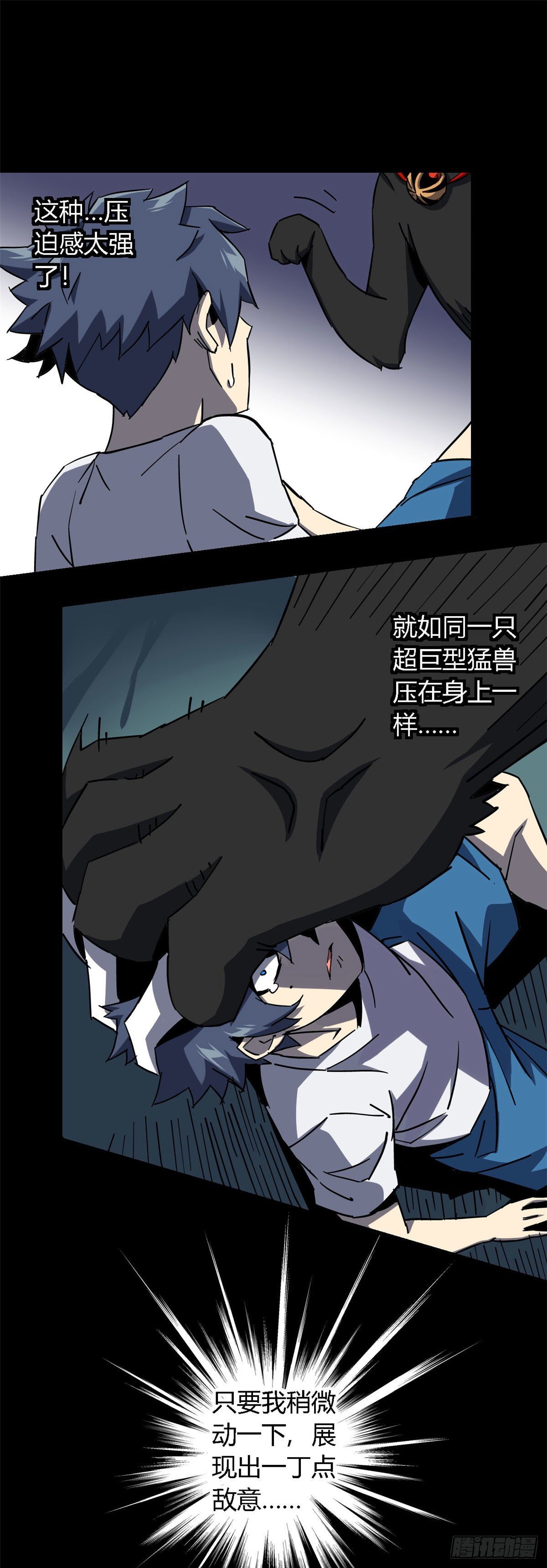 11 爱猫人士表示谴责1