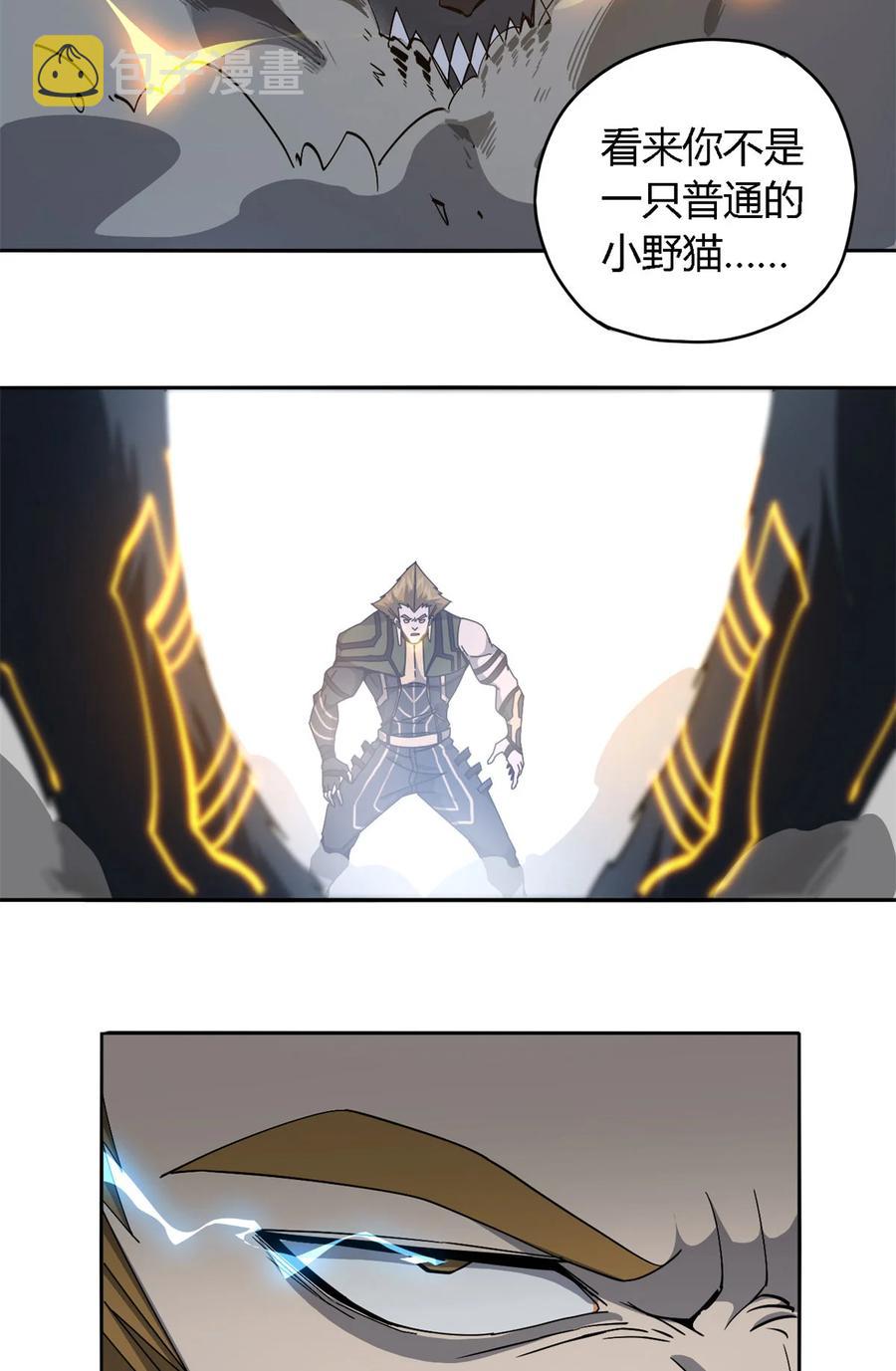 66 猫哥说话了！35