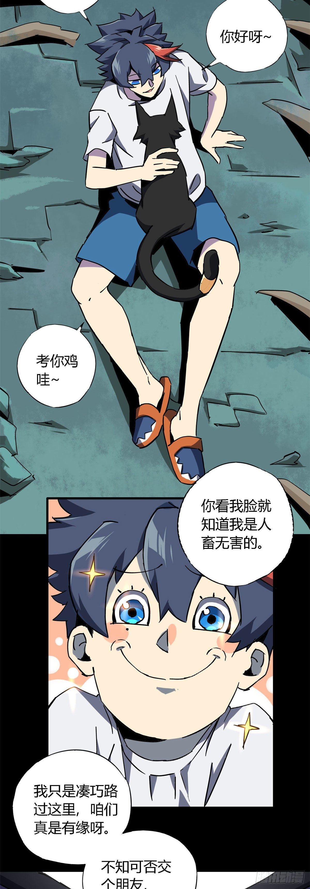 11 爱猫人士表示谴责4