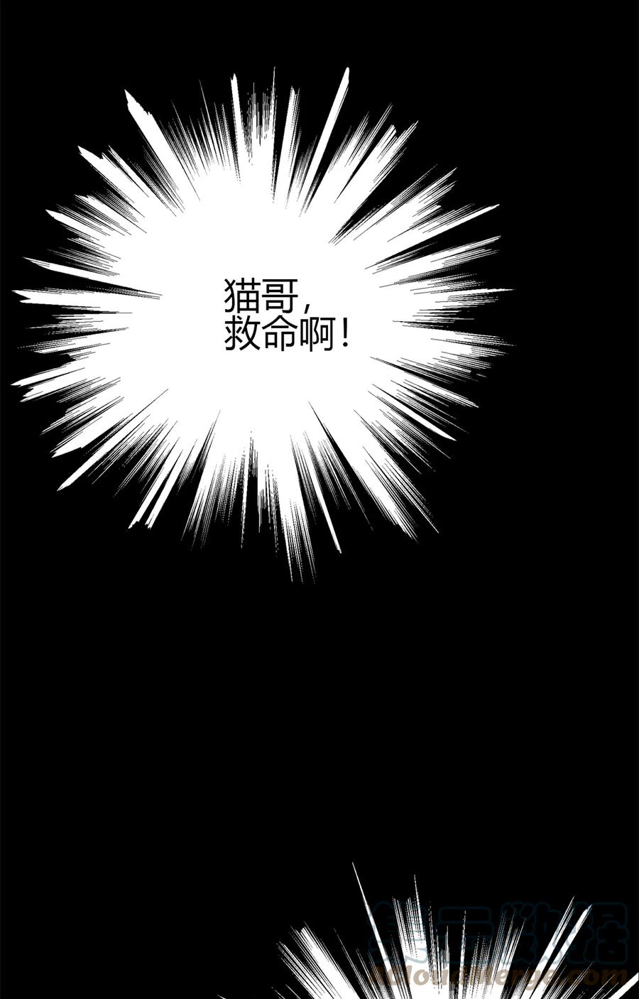 33 充能卡！9