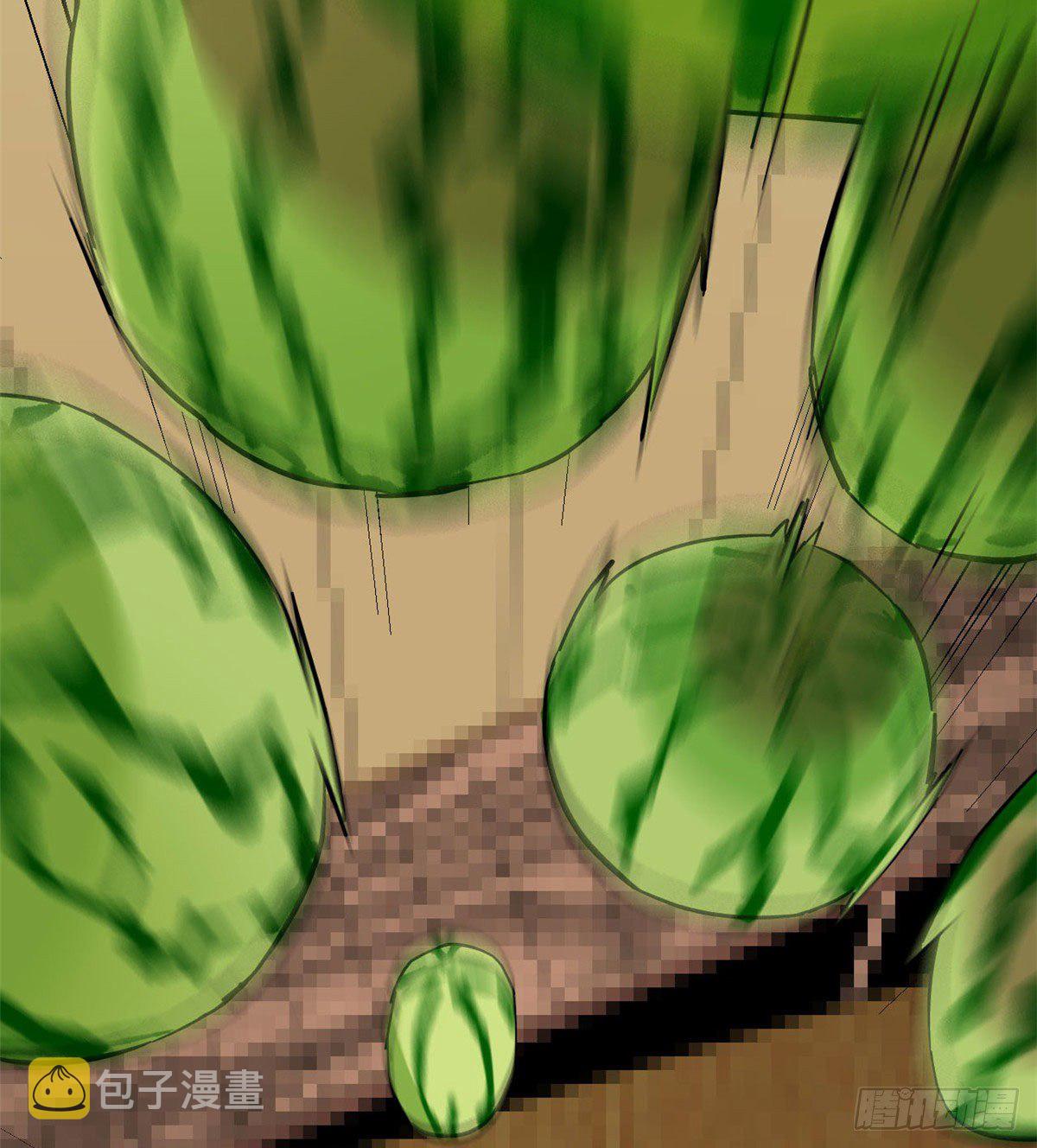 05 西瓜忍者37