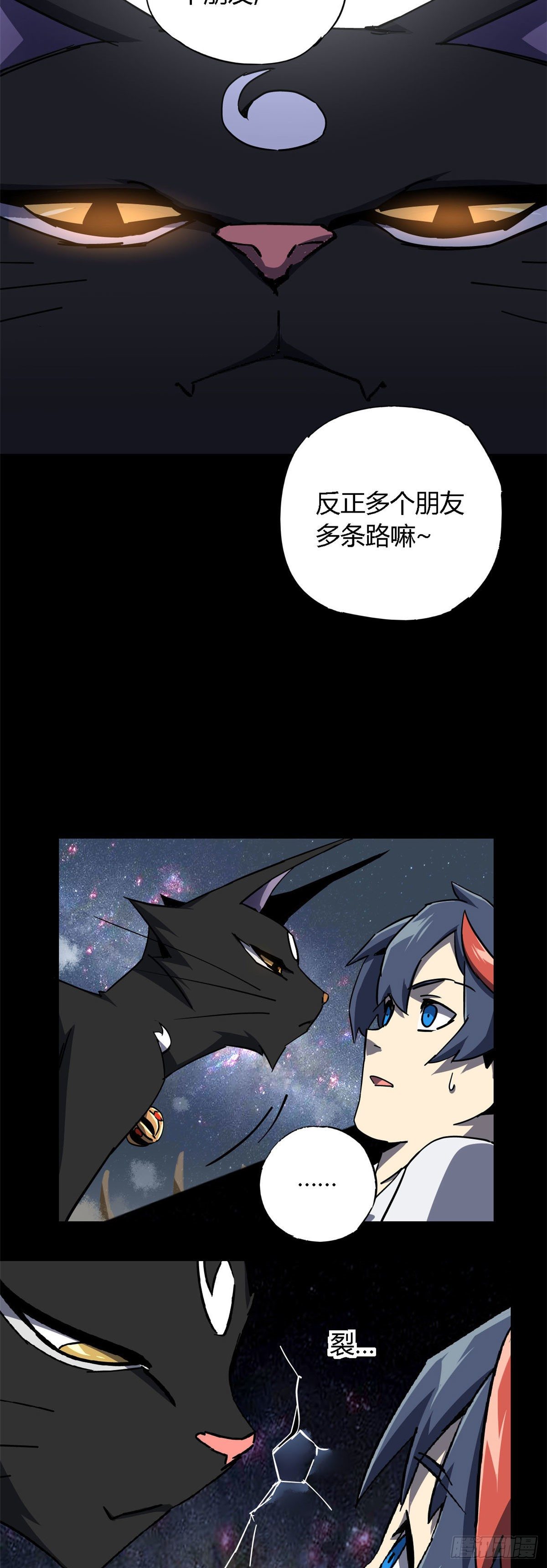 11 爱猫人士表示谴责5