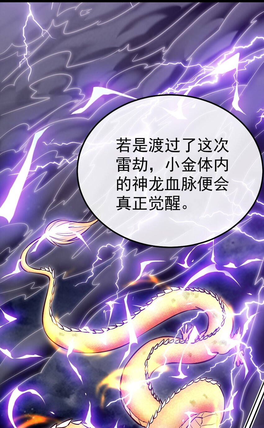 303 小金的雷劫8