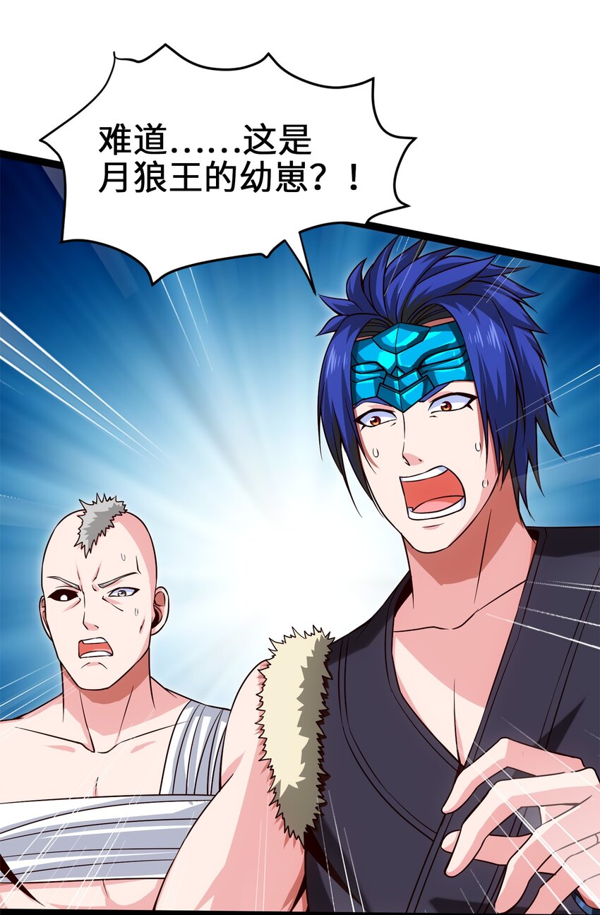 036 月狼王幼崽19