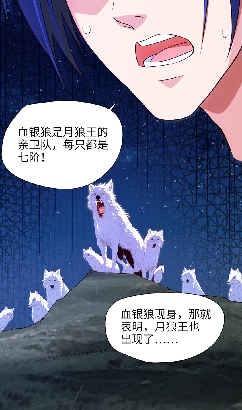036 月狼王幼崽34