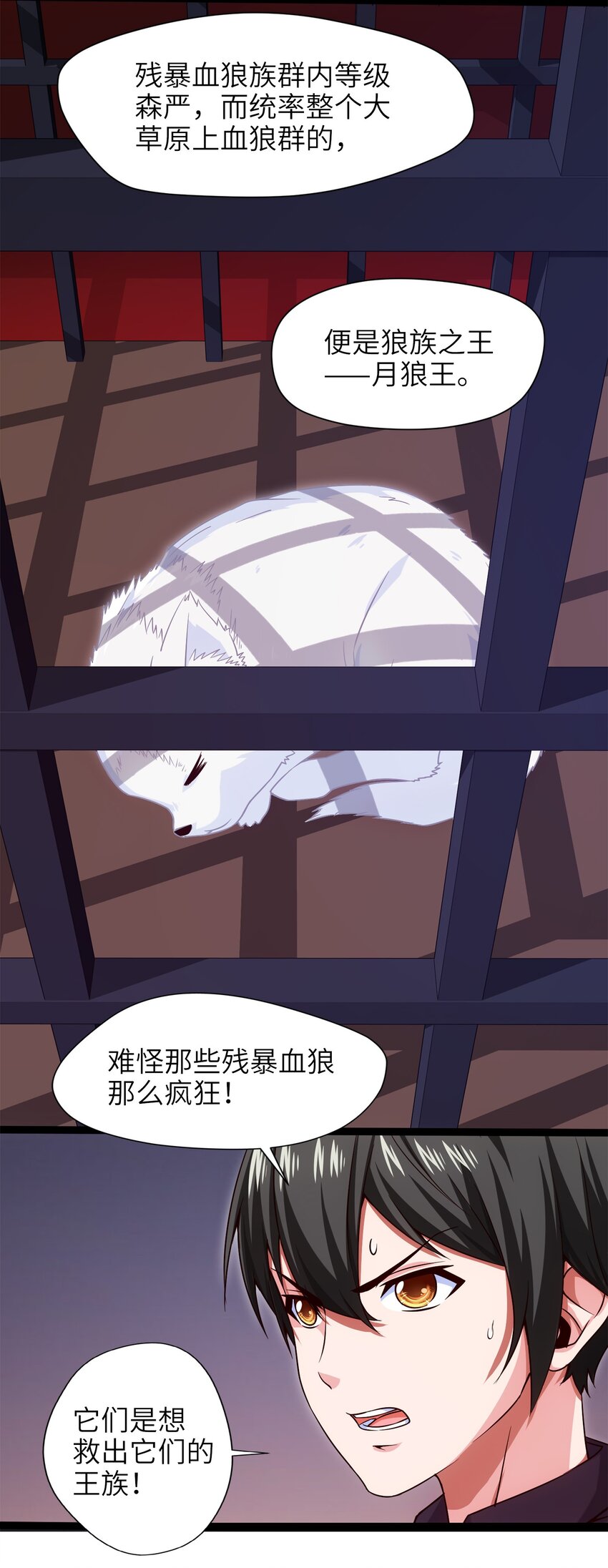 036 月狼王幼崽21
