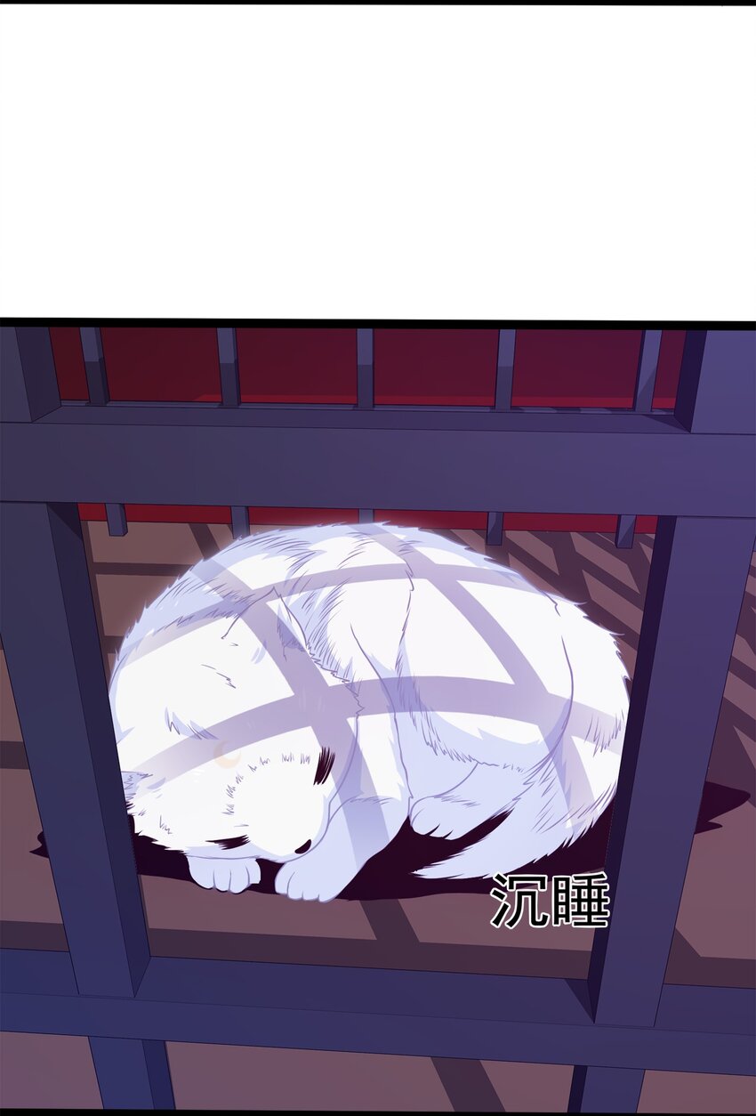 036 月狼王幼崽16