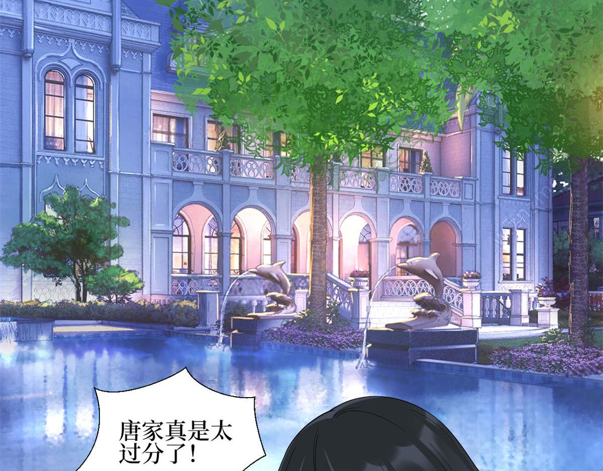第233话 起诉唐家11