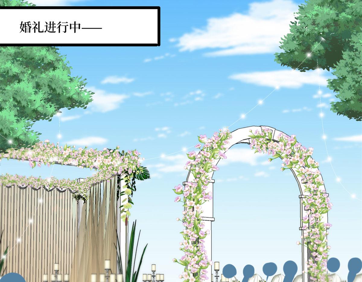 第204话 婚礼28