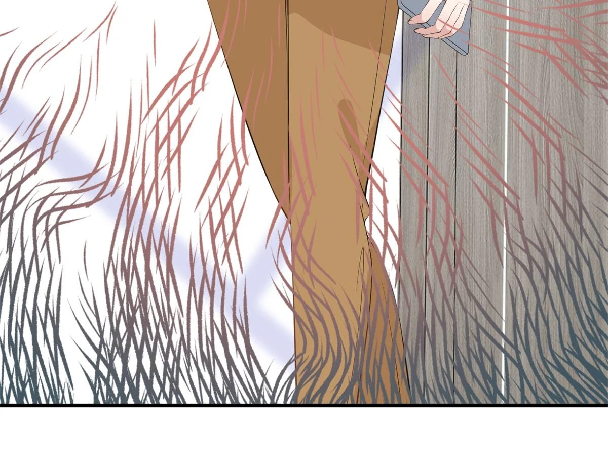 第301话 老婆最重要24