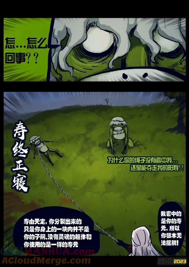 236集8
