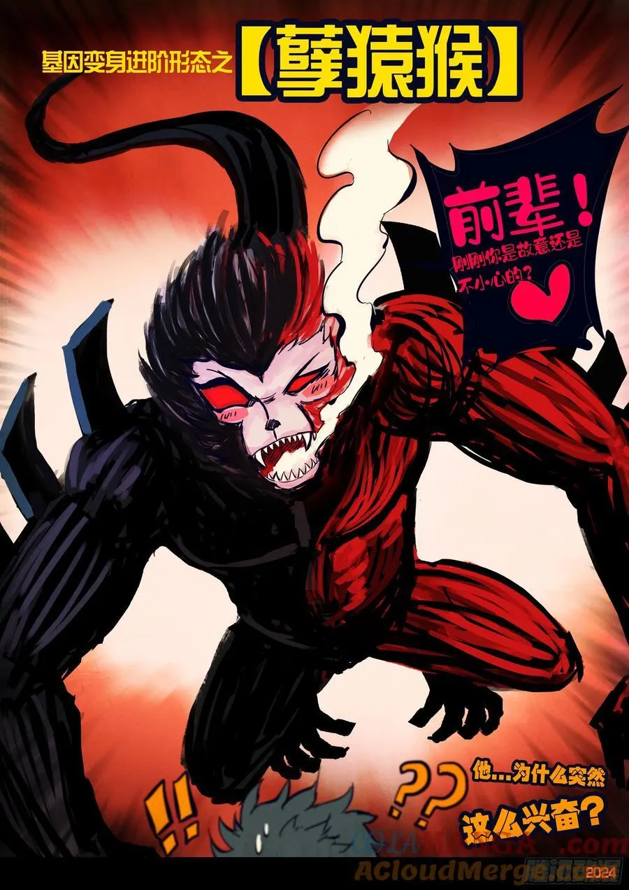 305集16