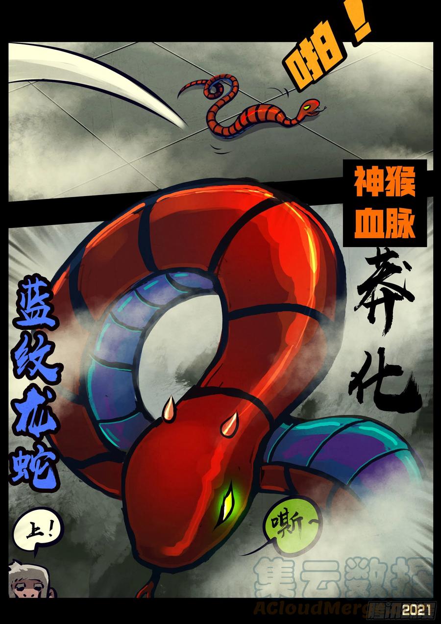 第115集6