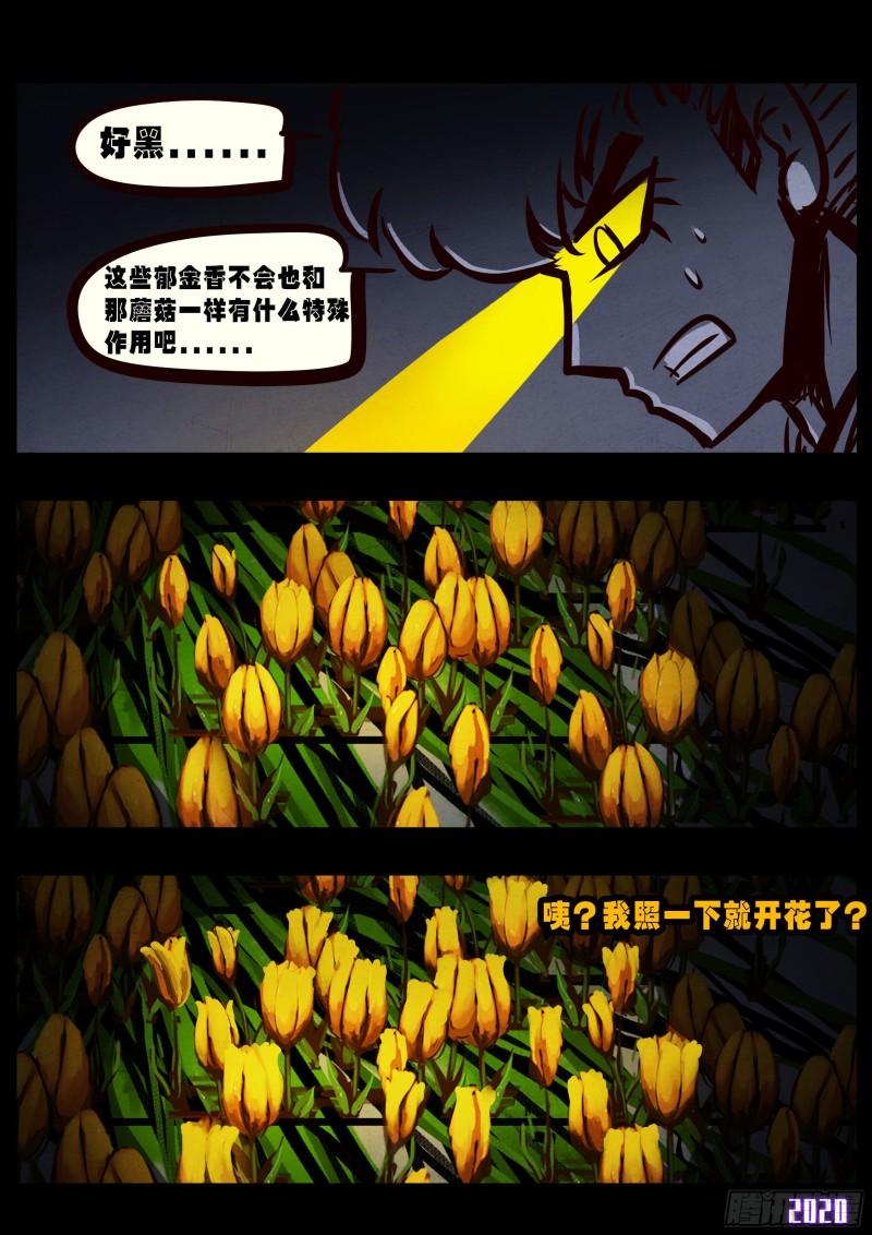 第030集11