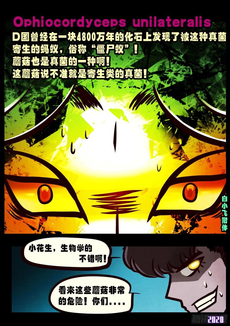 第029集18