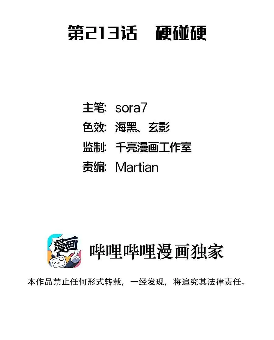 213 硬碰硬1