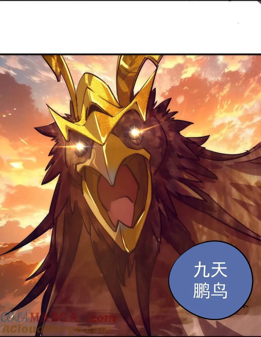 215 交换神器45