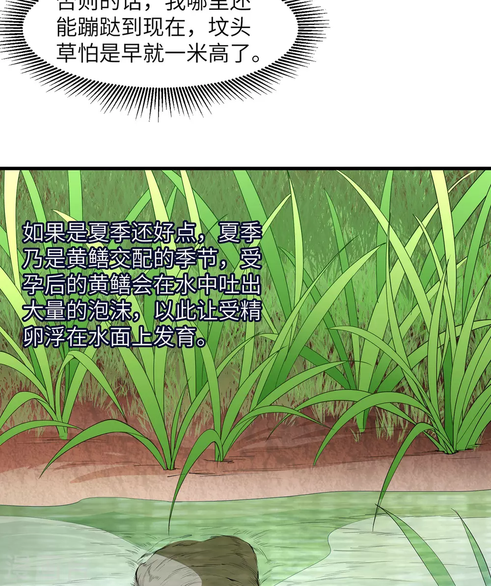 第13话11