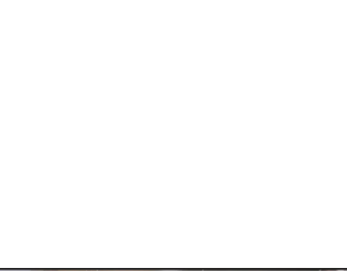 第74话 鸿门宴47