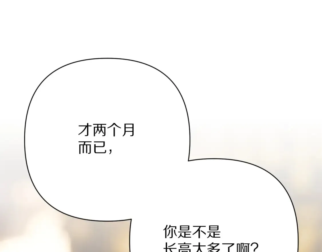 第71话 再会的约定19