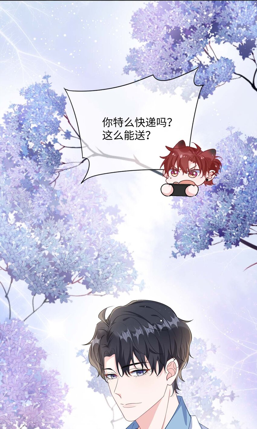 042 这么疼呀？40