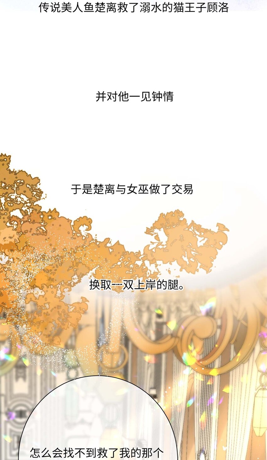 043 我的王妃是男人_19