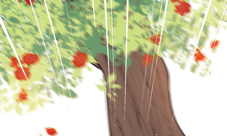 第22话 接妻子的棺梈回家88