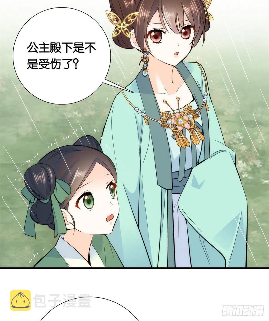第71话 公主殿下受伤了23
