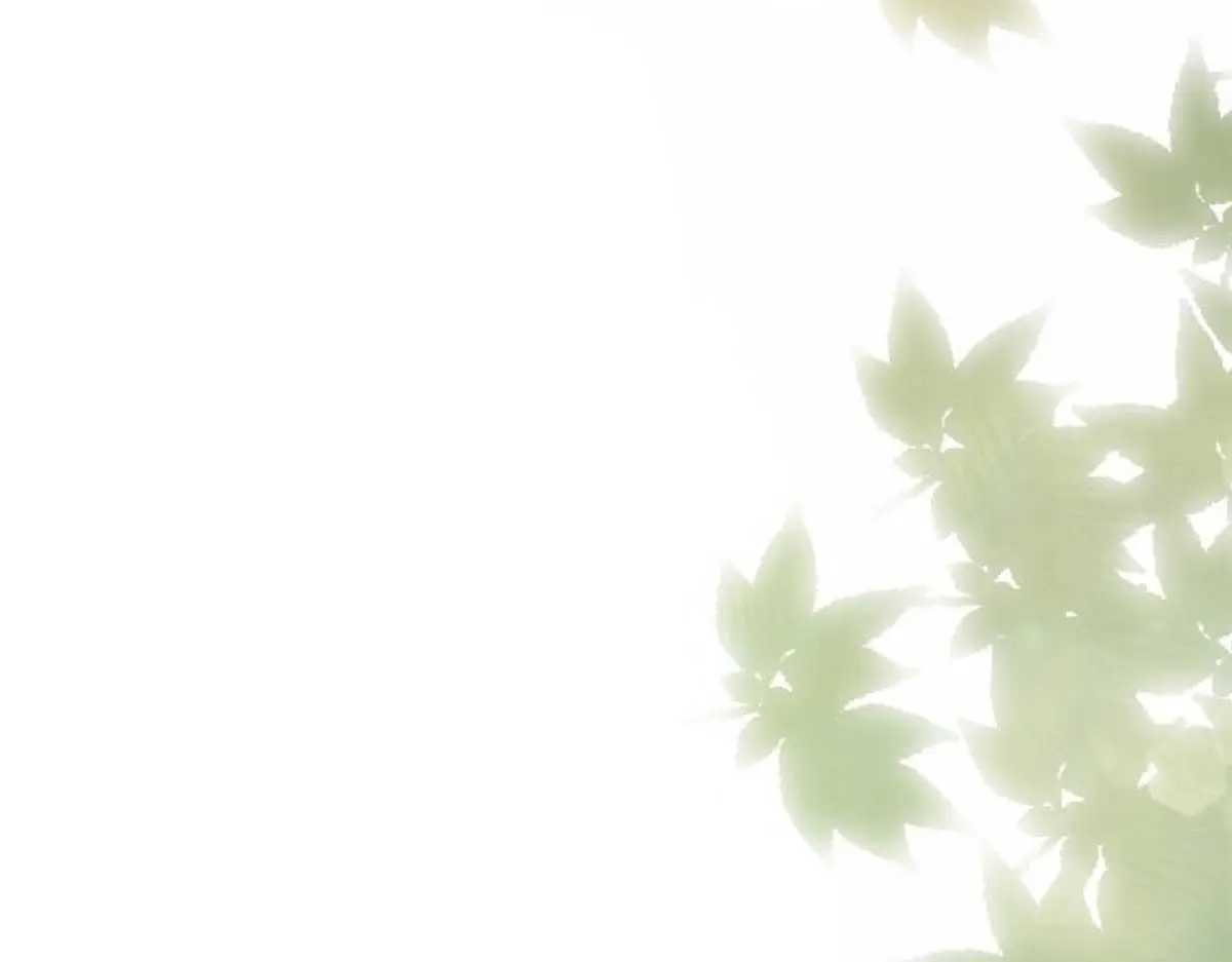第160话 和大都督做个交易69
