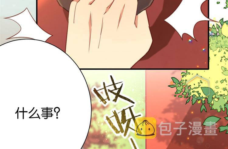 第11话 仙人球24