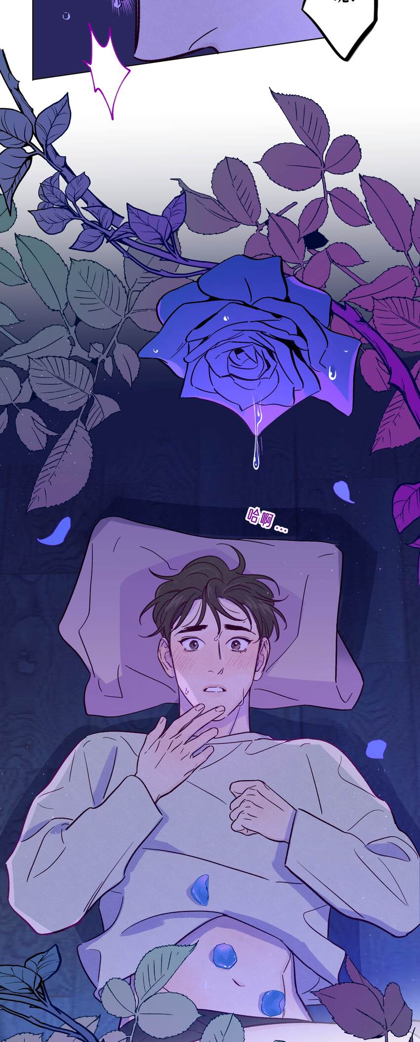 第38话 湿漉漉的小狐狸39