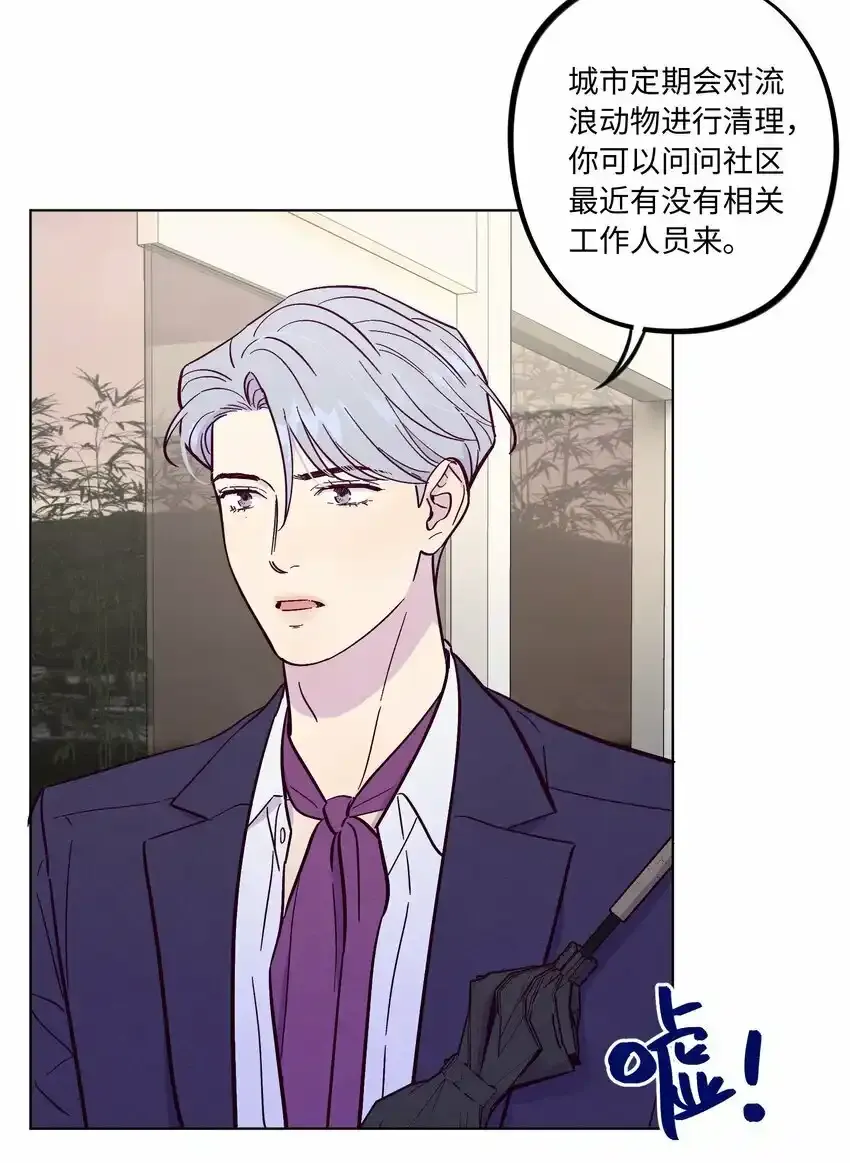 第52话 奇妙的缘分39