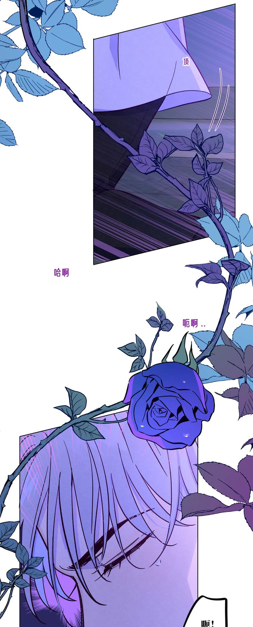 第38话 湿漉漉的小狐狸38