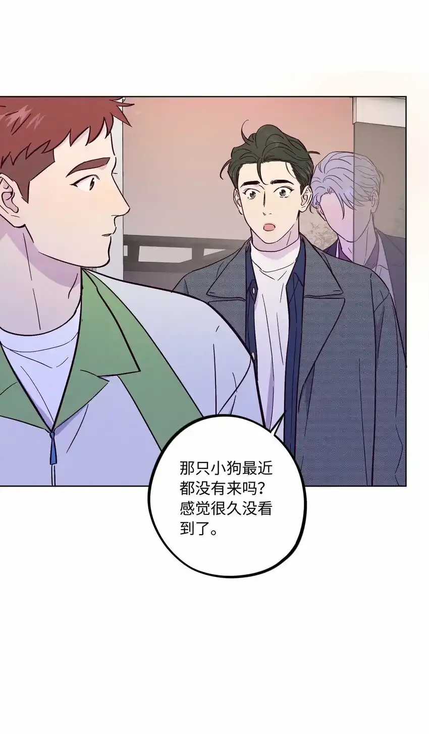 第52话 奇妙的缘分34