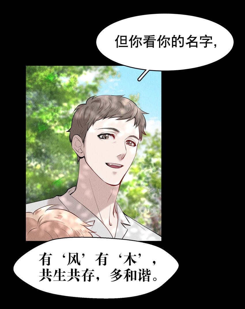 第9章 有风有木9
