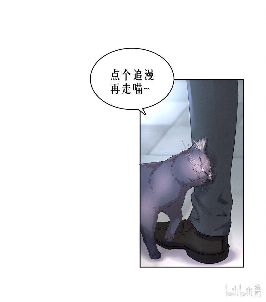第6章 洁白如美玉的鸥鸟37