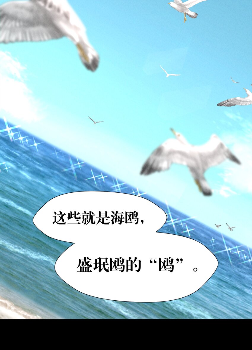 第6章 洁白如美玉的鸥鸟25